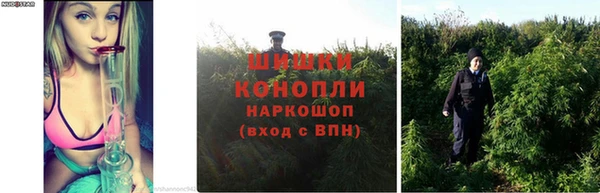 МДПВ Елабуга