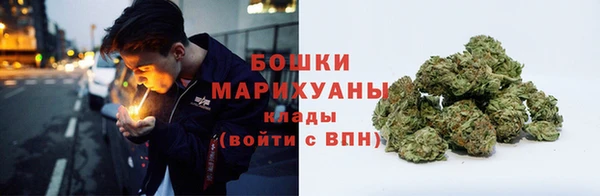 бошки Ельня