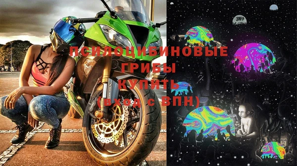 МДПВ Елабуга