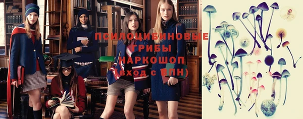 бошки Ельня
